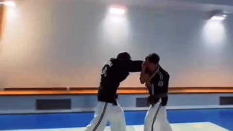 Hapkido