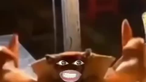 “Crab Ki Extra Life! 😂😂 Aisa Kaun Karta Hai?”