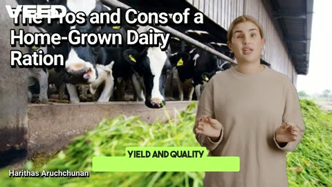 Sow, Grow, Feed, Repeat: The Pros and Cons of a Home Grown Dairy Ration