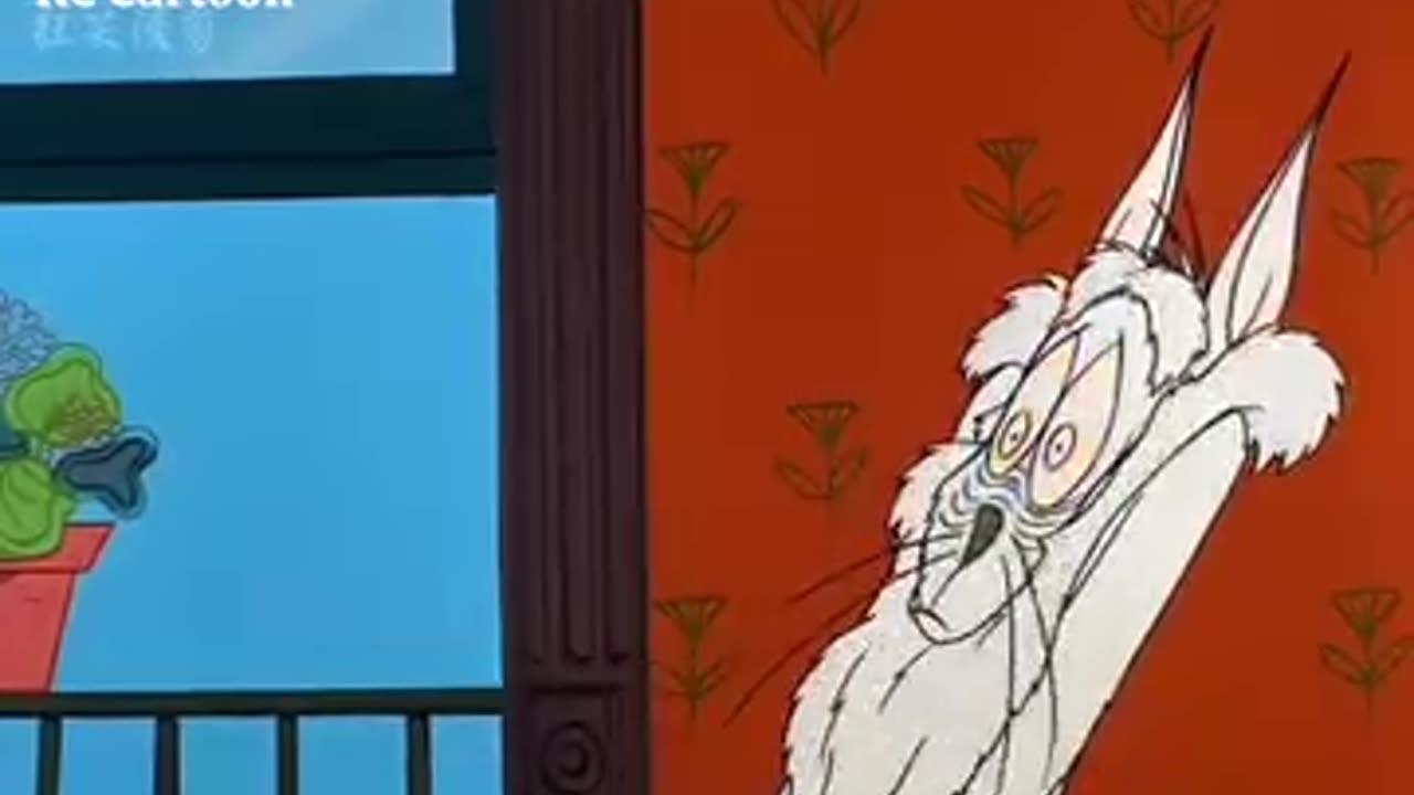 Tom and jarry funny vidieo