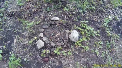 241115B___Madeira_NS-404,_planting_fruit_trees,_a_random_experiment.(720p)