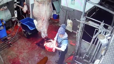 The Most Transparent Slaughterhouse On Earth [Part 2]