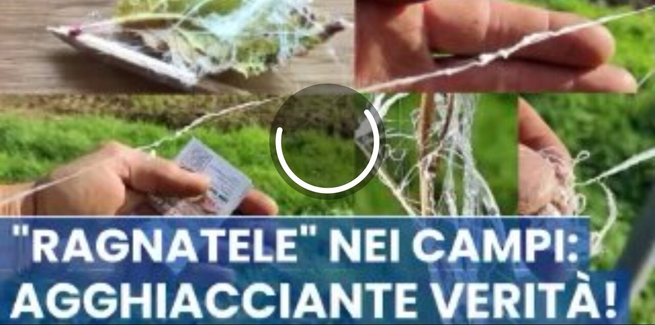 GEOINGEGNERIA: "Il fenomeno delle tele di ragno"