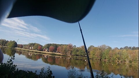 How not to catch bass, October 2025