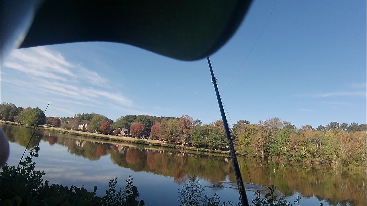 How not to catch bass, October 2025