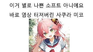 사쿠라 미코 나쁜 소프트가 아니에요 발언 논란 터졌다!