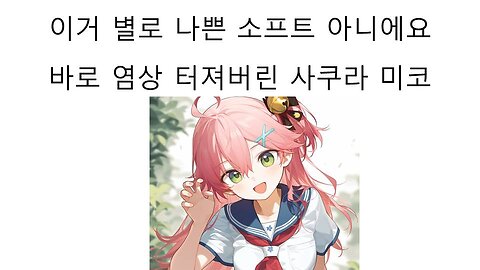 사쿠라 미코 나쁜 소프트가 아니에요 발언 논란 터졌다!
