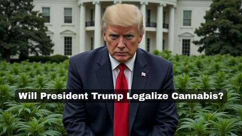 Will President Trump Legalize Cannabis?