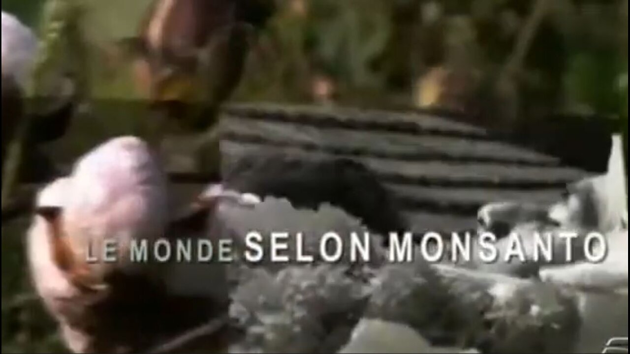 EL MUNDO SEGÚN MONSANTO