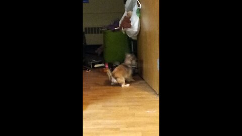 Getting into mischief!