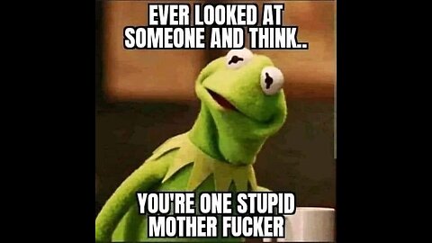 How Stupid Are You? ..........