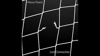 Song: Lost Connection by Mossy Forest