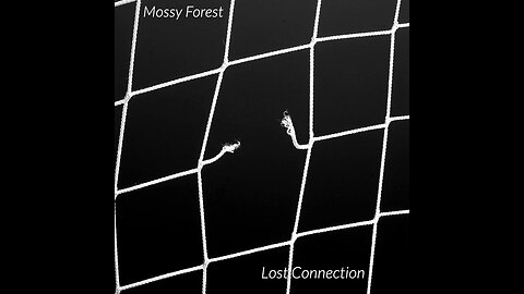 Song: Lost Connection by Mossy Forest