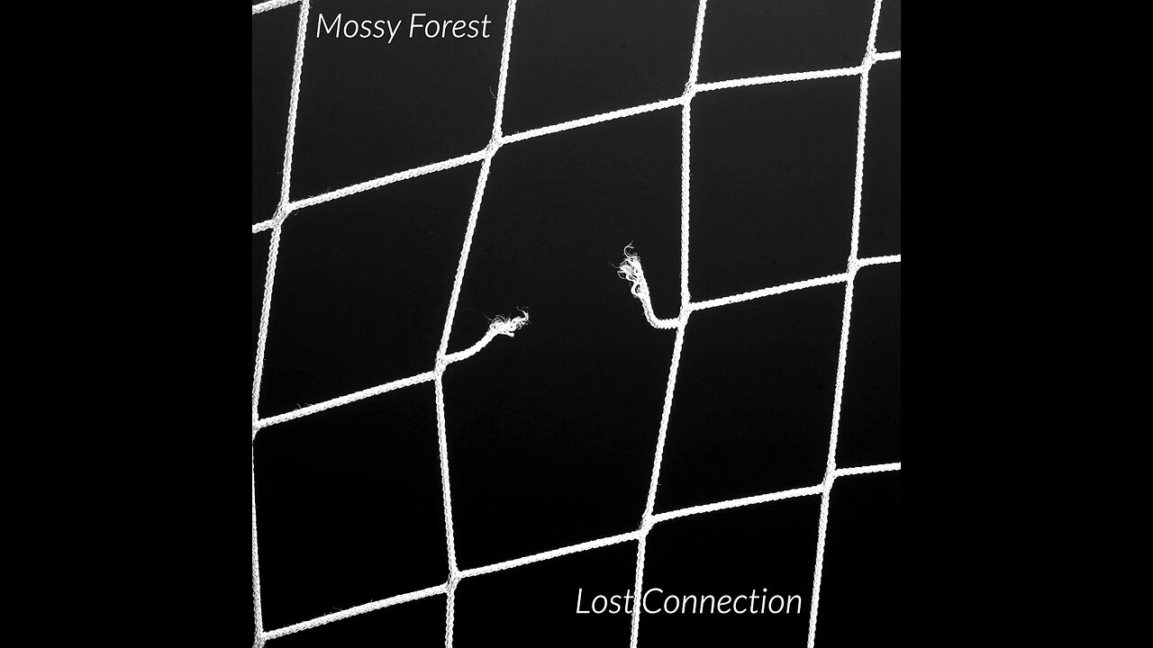 Song: Lost Connection by Mossy Forest