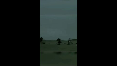 couples war battle