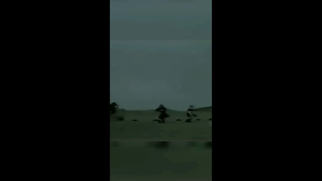 couples war battle