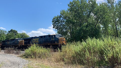 CSX Trains Tankers in the Grass
