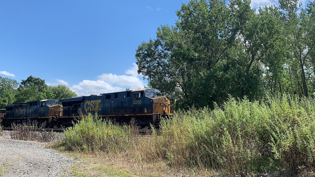 CSX Trains Tankers in the Grass
