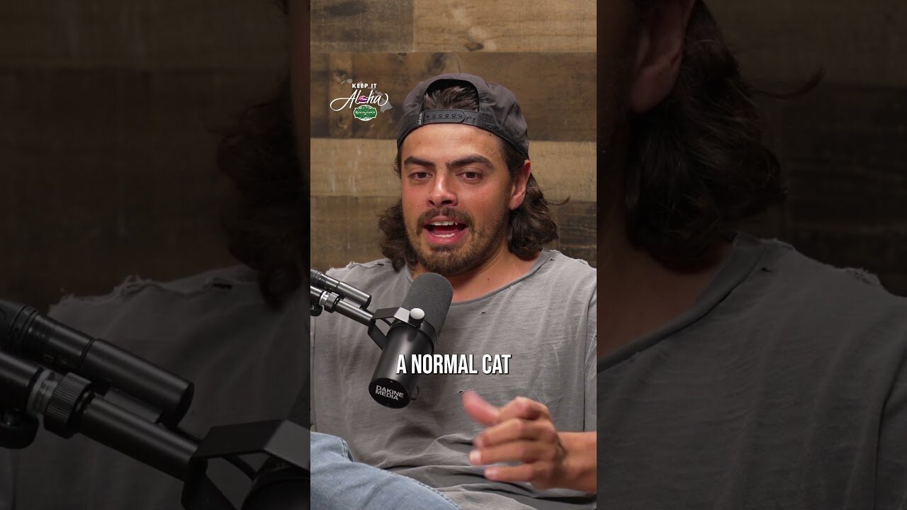 This is the weirdest guilty pleasure you'll hear all day