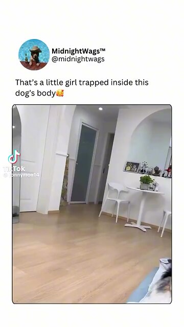 Awareness comes in different packages