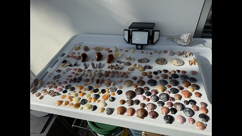 Beach Finds 12/14/2025 | 4K