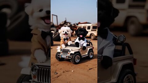 poor puppy made fun by his friends