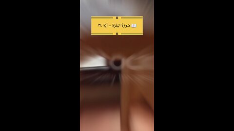 Surah Baqarah Ayat 34 | Shaytan Ka Guroor #tafseer #islamicreminders #islam #viralvideos