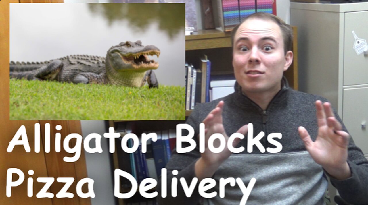 Alligator Blocks Pizza Delivery