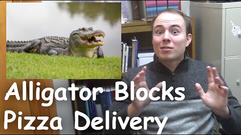 Alligator Blocks Pizza Delivery