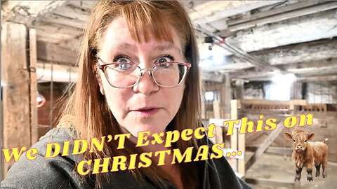 A CHRISTMAS Miracle And Our BABY Cow was BORN!