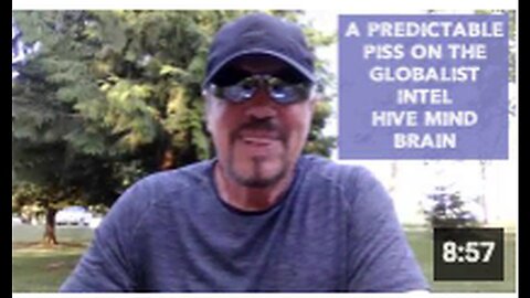 "GLOBALIST INTEL: A PREDICTABLE CRITIQUE"