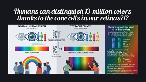 Fun Fact for Dec 10th 2025