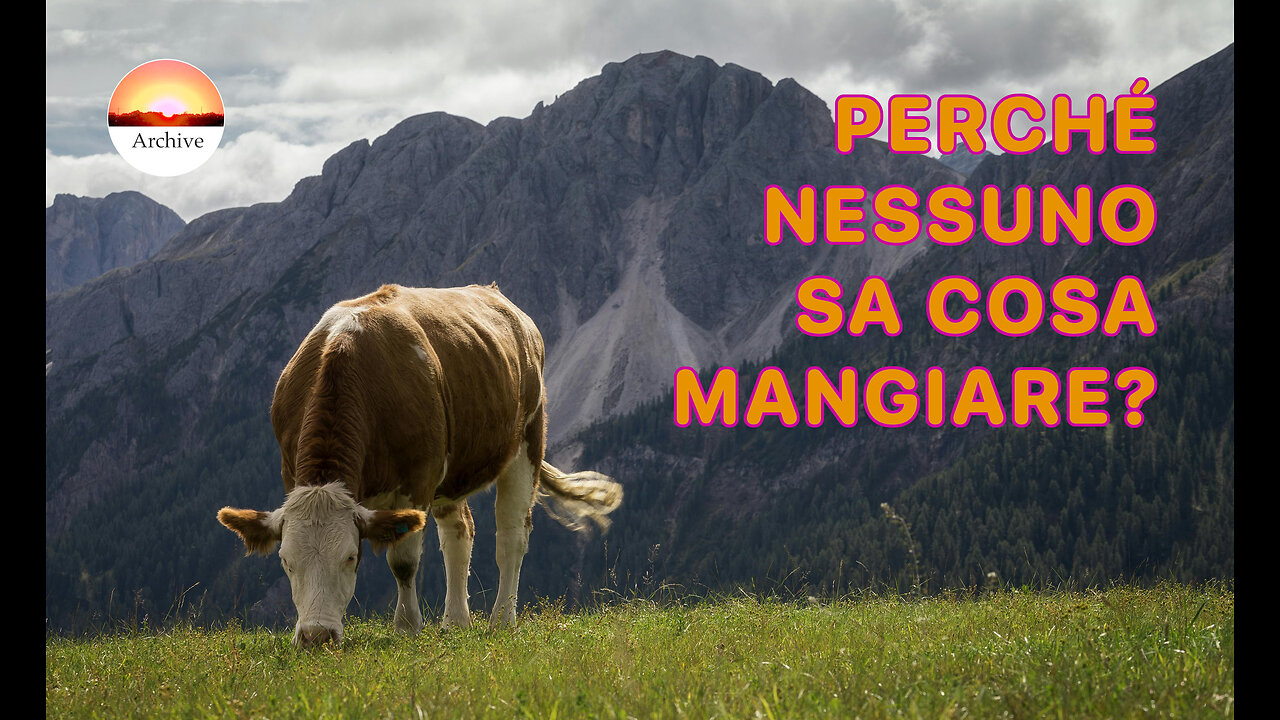 Perché nessuno sa cosa mangiare? (La dieta ottimale per l’essere umano)