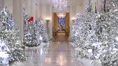 Love All Life Always #420 - 12 Days Of Trump. If You Know, You Know...