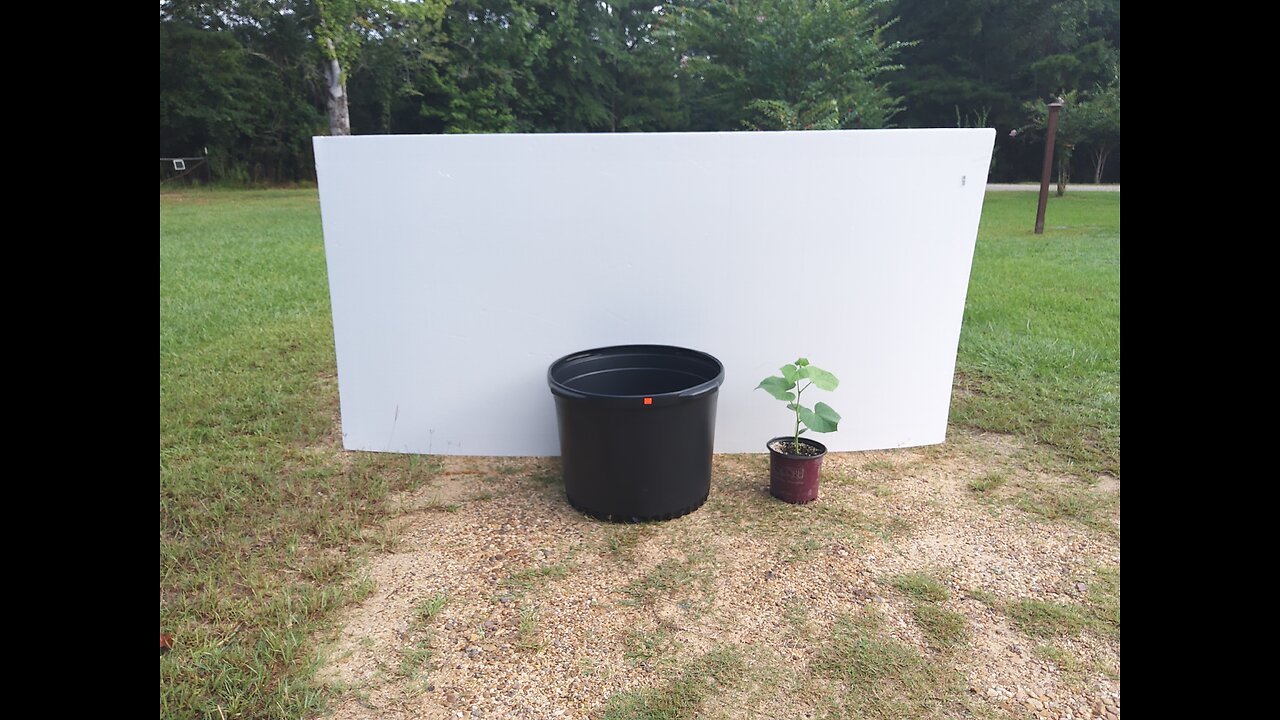 Insulating My Black Planter Pots For Summer Heat 7/24/25