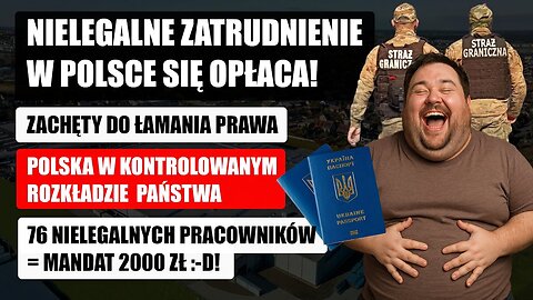 Nielegalne zatrudnienie w Polsce się opłaca! Mandat 2000 zł za 76 osób „na czarno"