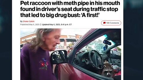 Police Find Raccoon in Driver's Seat With Meth Pipe in its Mouth During Ohio Traffic Stop