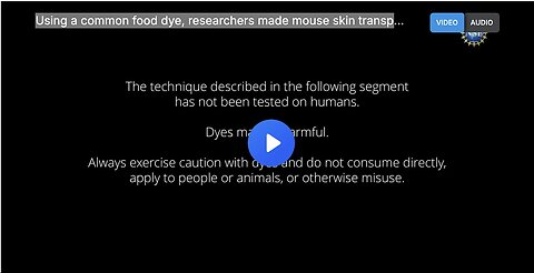 "Researchers Create Transparent Mouse Skin with Common Food Dye"