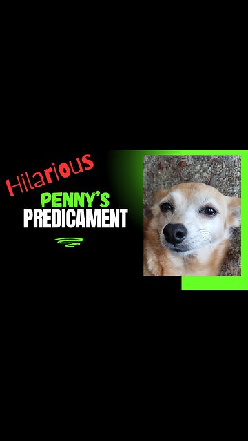 Penny's Not Laughing Now!