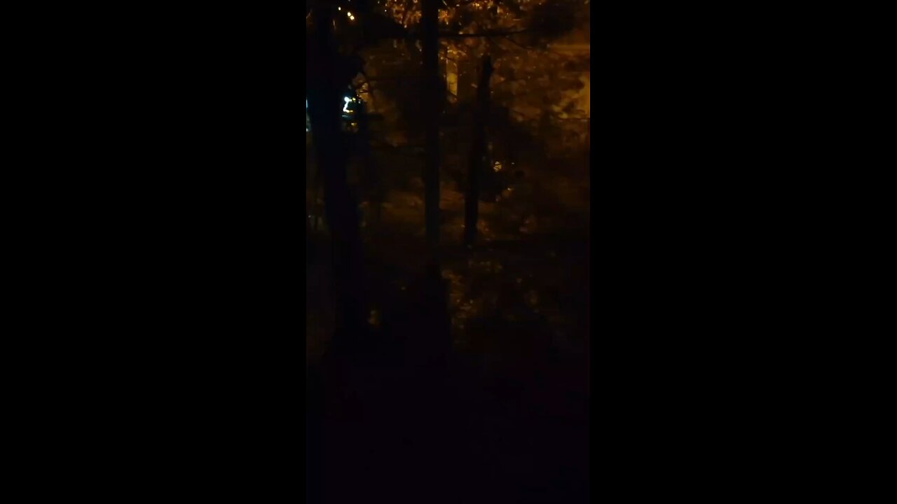 🇺🇦More videos of the brutal capture of men in Ukraine.