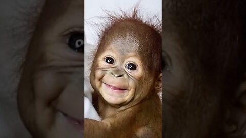 This Baby Monkey First Bite Ever… and That Smile? Unforgettable.