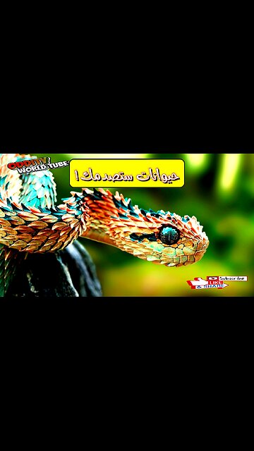 أغرب 10 حيوانات لن تصدق وجودها!