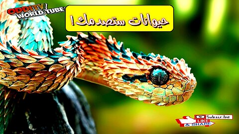 أغرب 10 حيوانات لن تصدق وجودها!