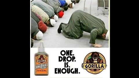 Crazy shit in france