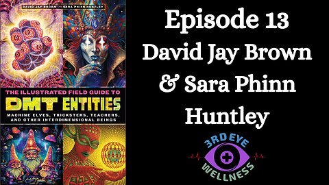 Episode 13 David Jay Brown & Sara Phinn Huntley: The Illustrated Field Guide To DMT Entities