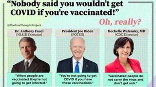 1249 athletes cardiac arrest or serious issues with 847 dead post covid 19 vaccine injection