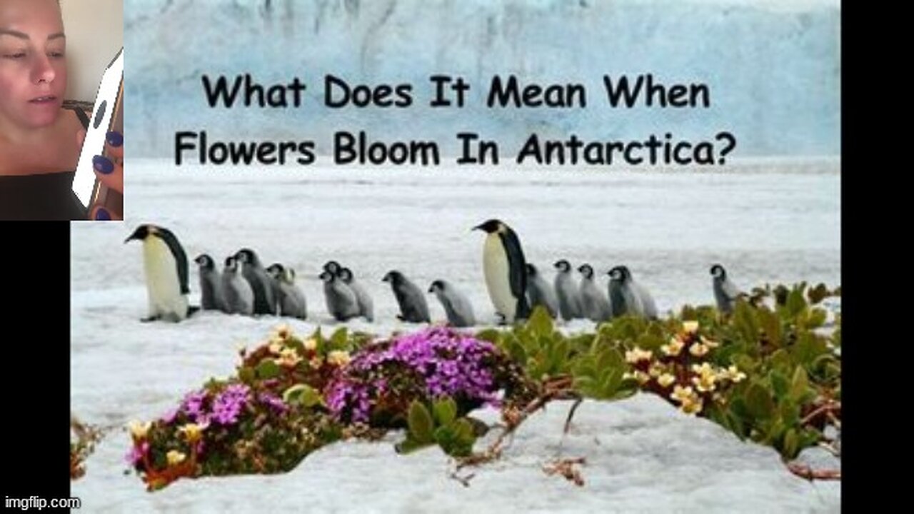 WHAT'S REALLY IN ANTARCTICA⁉️ 🏔 WHY ARE WE FORBIDDEN FROM EXPLORING IT⁉️