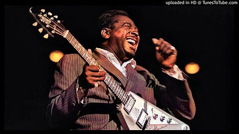 I’ll Play The Blues For You ~ Albert King ( Live )