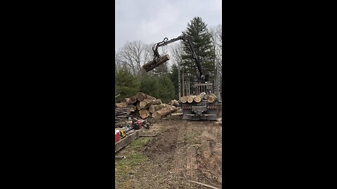 Loading a log truck with finesse