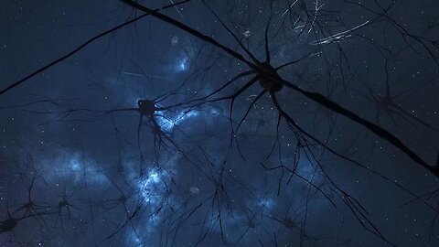 The future of social connection | Futures Week 2021 Policy Horizons Canada biodigital convergence